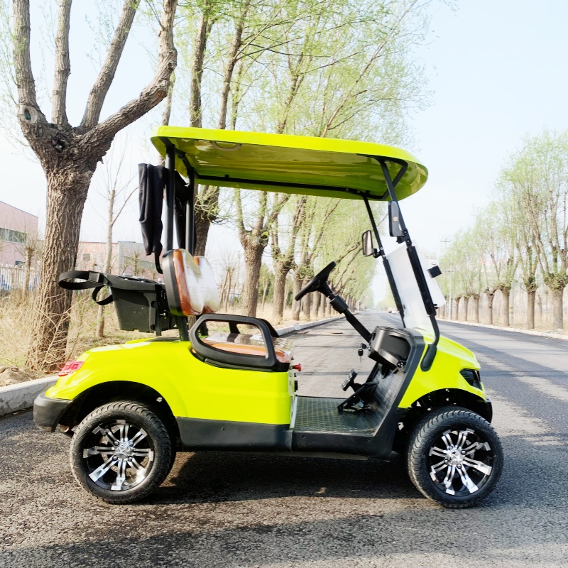 Factory Price 2 Seat Luxury El - Luxury Bags Price ulasan dan harga